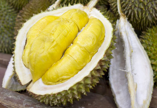 Quả sầu riêng được nhiều người ở Đông Nam Á xem như là "vua của các loại trái cây" Quả sầu riêng được nhiều người ở Đông Nam Á xem như là "vua của các loại trái cây"