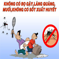 Sốt xuất huyết: Nguyên nhân, triệu chứng và cách phòng bệnh Sốt xuất huyết: Nguyên nhân, triệu chứng và cách phòng bệnh
