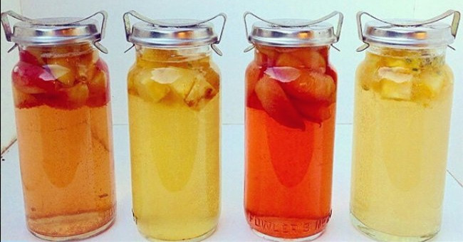 Những điều cần biết về "trà Kombucha" - Trà lên men Những điều cần biết về "trà Kombucha" - Trà lên men
