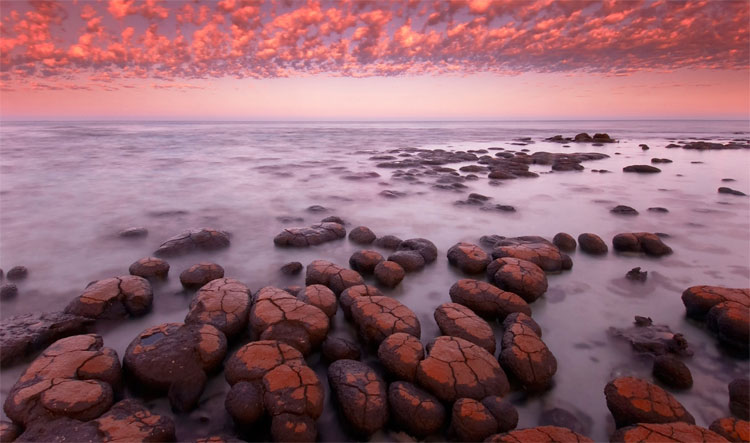 Đá hóa thạch 3,5 tỷ năm tuổi ở Tây Úc.