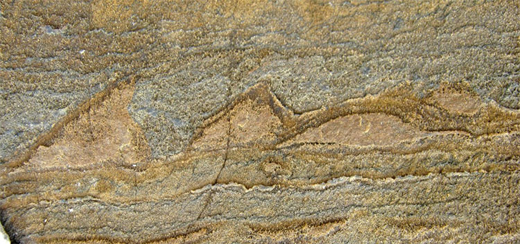 Bề mặt đá hóa thạch 3,7 tỷ năm tuổi.