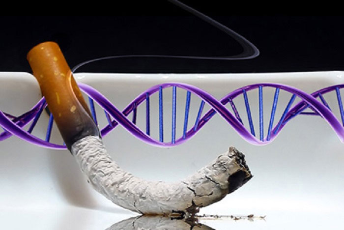 Hút thuốc gây ra đột biến gene ở mức độ cao.