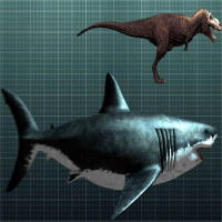 Cá mập khổng lồ Megalodon vẫn còn sống dưới biển sâu? Cá mập khổng lồ Megalodon vẫn còn sống dưới biển sâu?