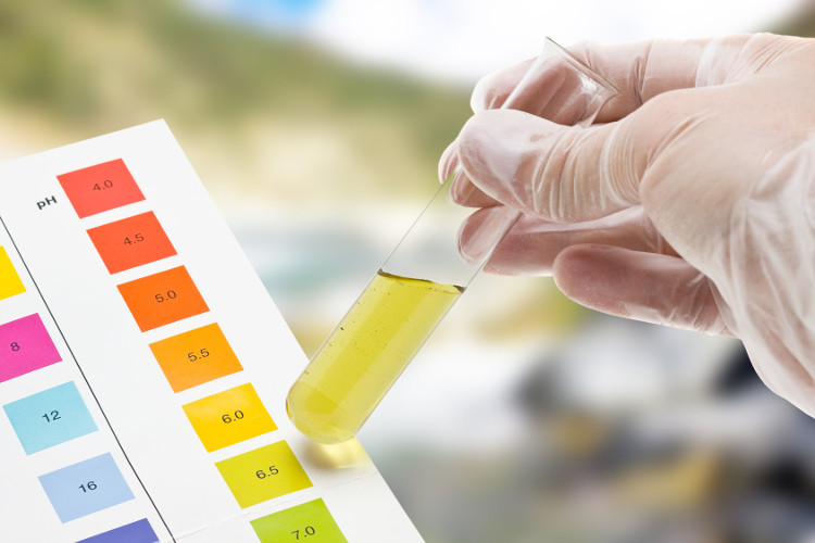 Chỉ số pH đánh giá độ acid của nước tiểu. Chỉ số pH đánh giá độ acid của nước tiểu.