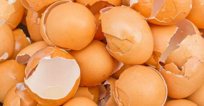 12 tác dụng bất ngờ của vỏ trứng