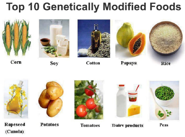 Một số loại thực phẩm thường được biến đổi gene 