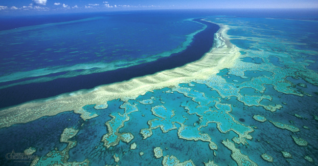 Rạn san hô lớn nhất thế giới đối mặt nguy cơ bị xóa sổ vĩnh viễn