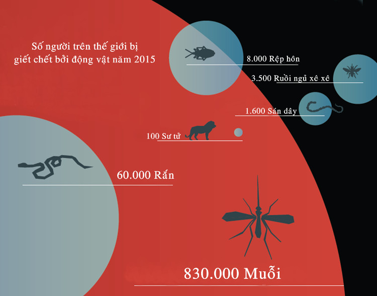 Với 830.000 người, muỗi là loài vật giết chết nhiều người nhất thế giới.