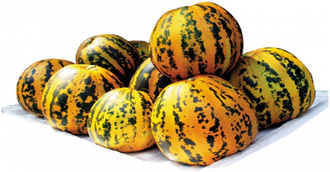 Lợi ích bất ngờ từ dưa bở với sức khỏe mọi nhà