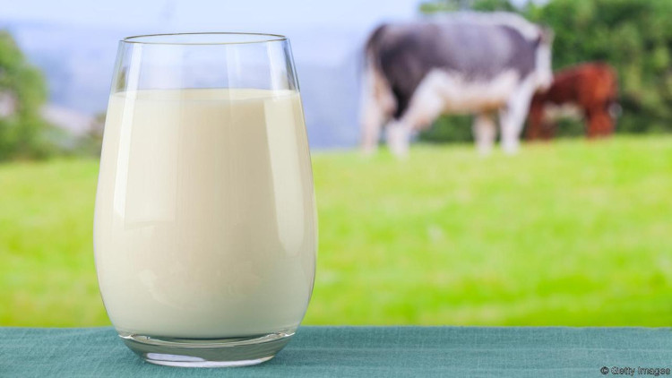 Sữa rất thích hợp cho bữa ăn nhẹ sau giờ trưa, độ ngọt vừa phải, giàu chất dinh dưỡng.