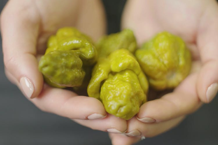 Những trái ớt Pepper X.