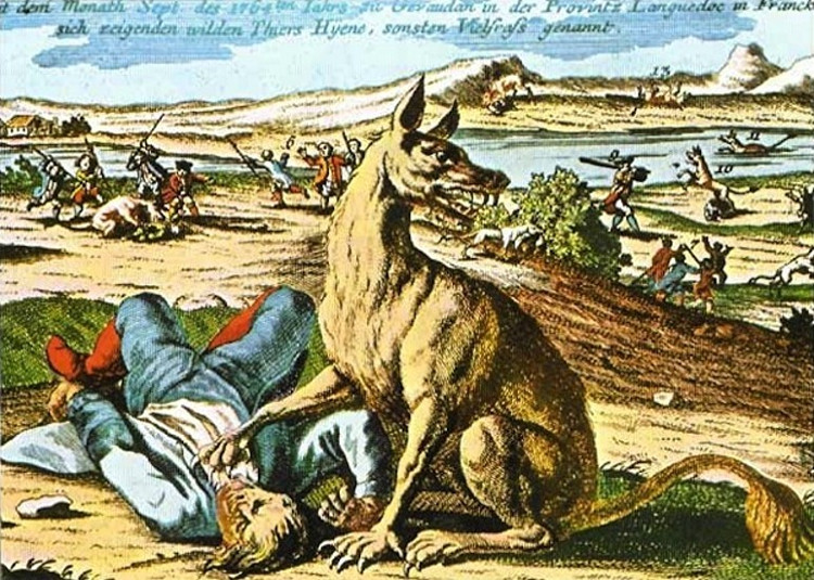 Hình minh họa quái thú khổng lồ vùng Gévaudan.