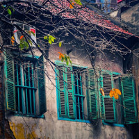 Nao lòng ngắm cảnh đẹp nên thơ của mùa đông Hà Nội Nao lòng ngắm cảnh đẹp nên thơ của mùa đông Hà Nội