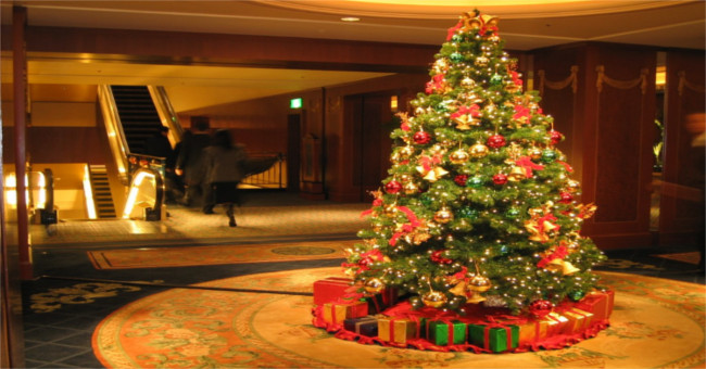 Tại sao ngày Noel - Giáng sinh lại dùng cây thông mà không phải là cây khác?