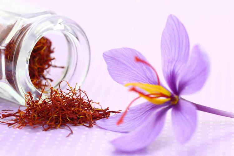 Saffron là tên gọi của một loại gia vị được sản xuất từ nhụy hoa nghệ tây 