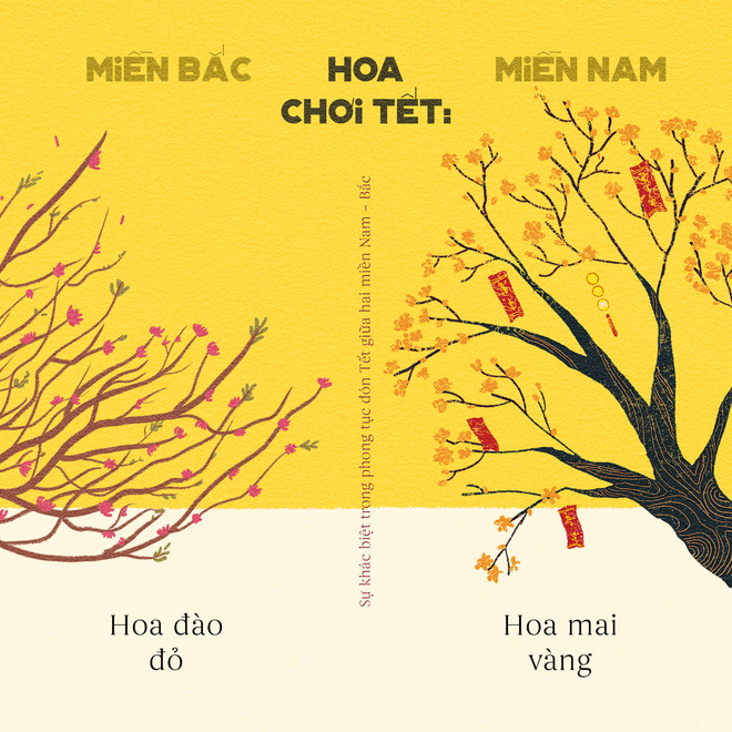 Miền Nam rực cháy hoa mai, miền Bắc nồng ấm hoa đào.