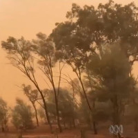 Video: Bão bụi nhuộm cam thị trấn Australia Video: Bão bụi nhuộm cam thị trấn Australia
