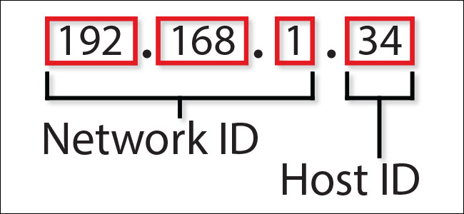 Thành phần của địa chỉ IP.