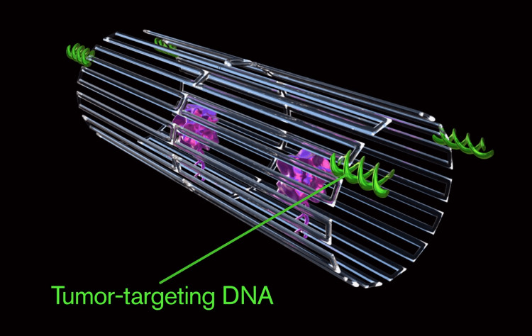 Robot nano dạng tấm DNA đang cuốn lại để tấn công khối u.