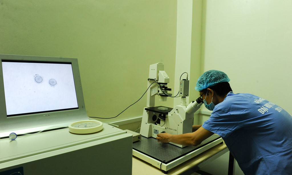 Trước khi thụ tinh trong ống nghiệm, trứng phải đảm bảo được làm sạch, việc kiểm tra được thực hiện qua kính hiển vi.