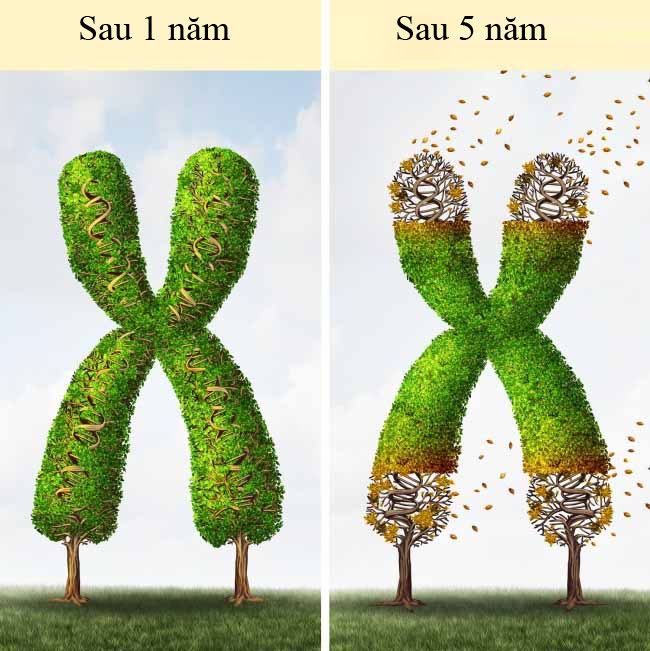 Tuổi thọ giảm sút