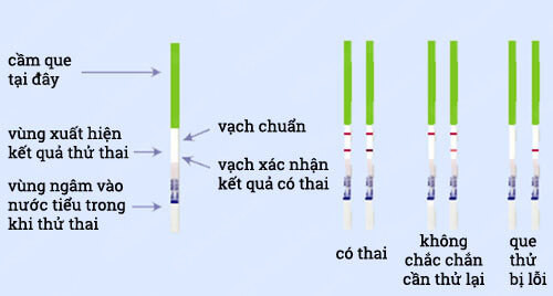 Kết quả thử thai
