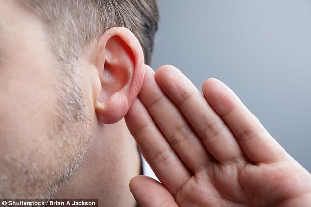 Do tổn thương các tế bào lông mảnh mai trong ốc tai mà bệnh khiếm thính phát triển 