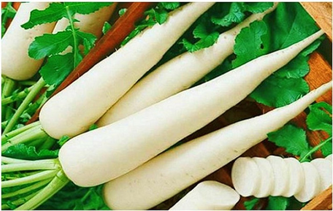 Vỏ củ cải chứa độc tố furocoumarins