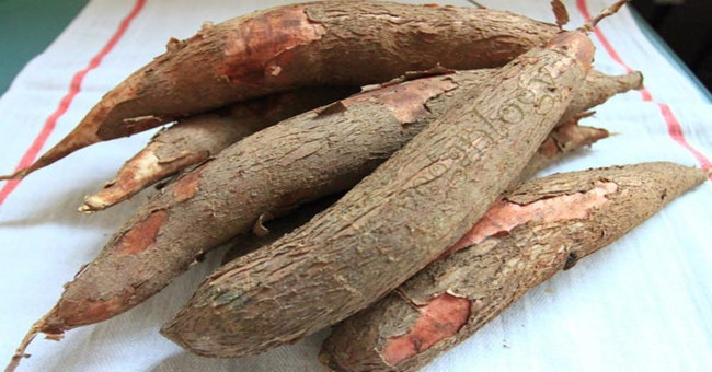 Những thực phẩm có chất độc tự nhiên - lưu lý khi chế biến Những thực phẩm có chất độc tự nhiên - lưu lý khi chế biến