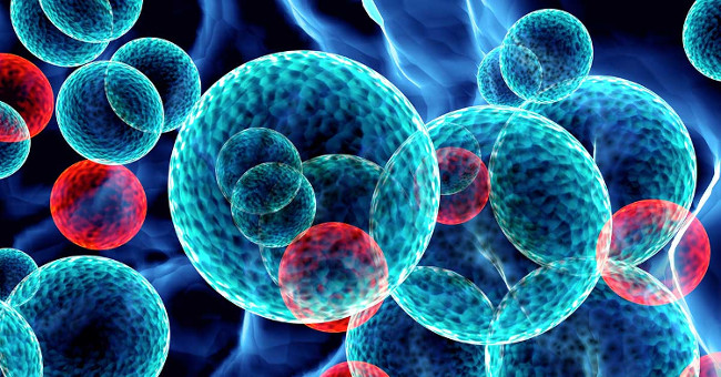 Phát triển công nghệ nano tìm diệt tế bào ung thư