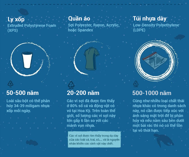 Nhấn vào ảnh để phóng to Túi nhựa dày nếu để nằm sâu bên dưới một bãi rác thì nó có thể tồn tại vô thời hạn.