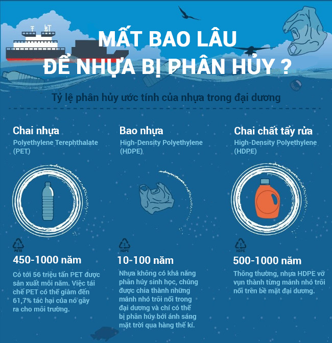 Bao nhựa mất đến 10-100 năm để phân hủy.