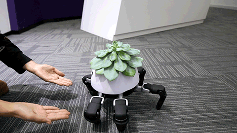Con robot nhỏ mang tới cho chúng ta vô vàn ý tưởng kết hợp của tương lai.