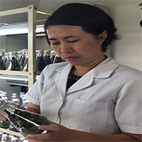 Nữ tiến sĩ Việt tách chất tăng cường sinh lực từ cây thuốc Nữ tiến sĩ Việt tách chất tăng cường sinh lực từ cây thuốc