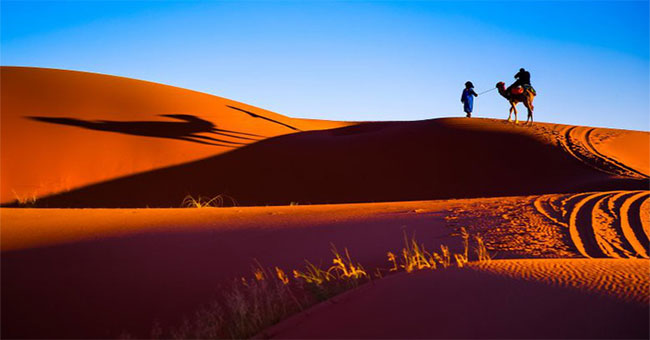Những sự thật ít người biết về sa mạc Sahara Những sự thật ít người biết về sa mạc Sahara