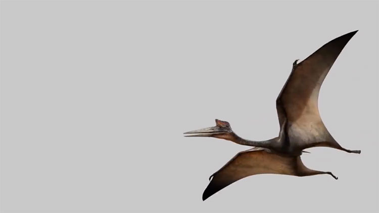 Thằn lằn bay Quetzalcoatlus.