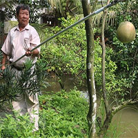 Nhà sáng chế miệt vườn và cây kéo cắt tỉa cành cây đa năng Nhà sáng chế miệt vườn và cây kéo cắt tỉa cành cây đa năng