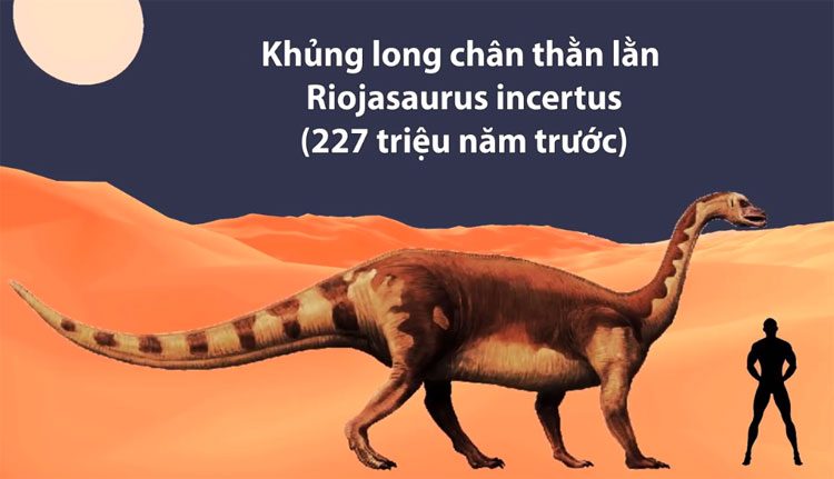 Khủng long chân thằn lằn Riojasaurus incertus
