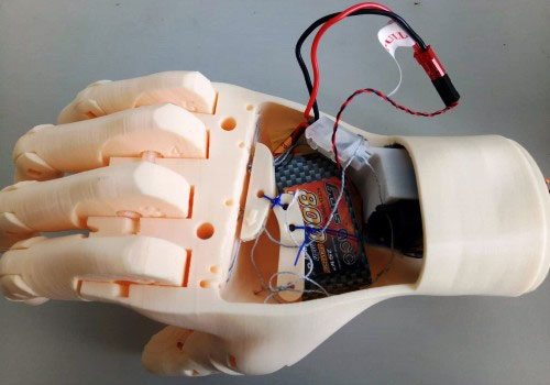 Bàn tay robot được lắp bo vi mạch xứ lý và động cơ servo bên trong.