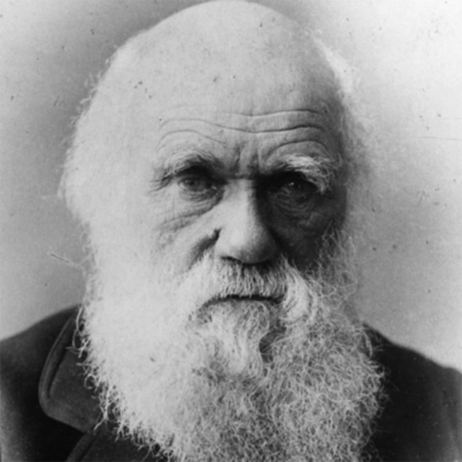 Charles Darwin - nhà bác học thiên tài của thế giới