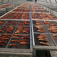 Nhà kính khí đối lưu giúp phơi, sấy nông sản cả đêm lẫn ngày Nhà kính khí đối lưu giúp phơi, sấy nông sản cả đêm lẫn ngày