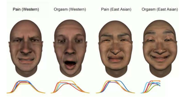 Sự khác biệt về biểu cảm khuôn mặt lúc đau đớn và... cực khoái giữa các nền văn hóa