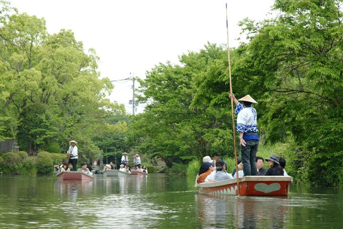 Người dân thường dùng một chiếc sào dài để đẩy thuyền.