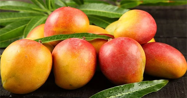 Ăn xoài có thể chống ung thư