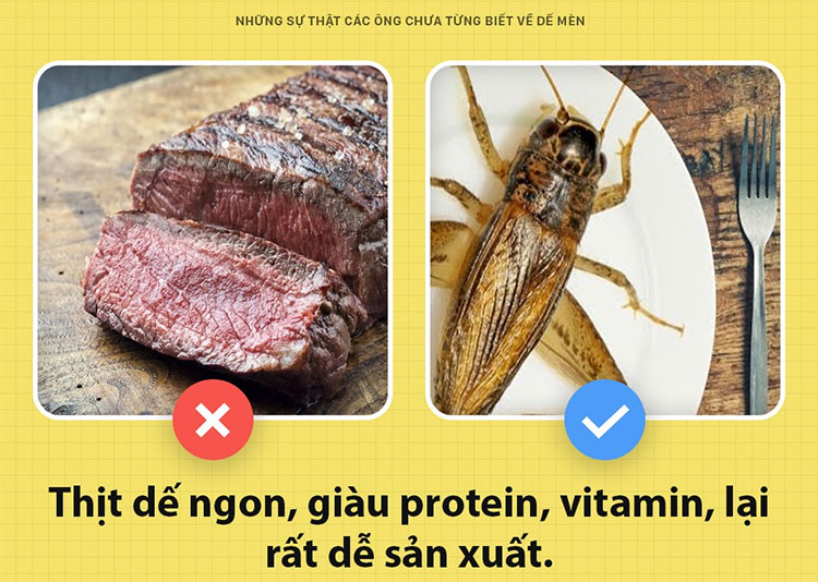 Chúng tôi chính là sinh vật giải cứu thế giới này