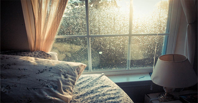 Ánh sáng Mặt trời có thể làm giảm lượng vi khuẩn trong nhà bạn Ánh sáng Mặt trời có thể làm giảm lượng vi khuẩn trong nhà bạn
