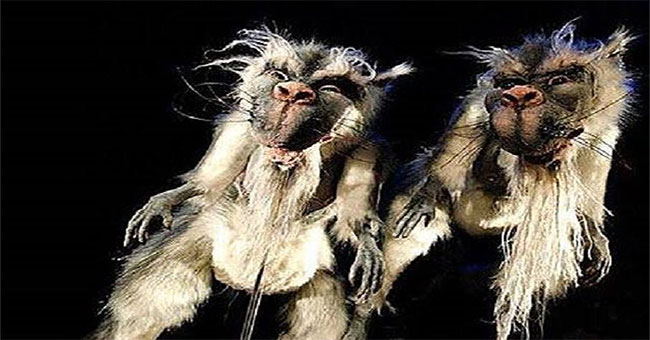 Bunyip - Loài quái vật đã tuyệt chủng ở Australia