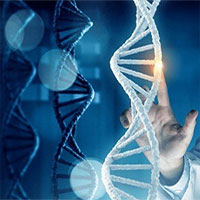 Dùng công nghệ gene trị HIV: Niềm hy vọng mới của các nhà khoa học Nga Dùng công nghệ gene trị HIV: Niềm hy vọng mới của các nhà khoa học Nga