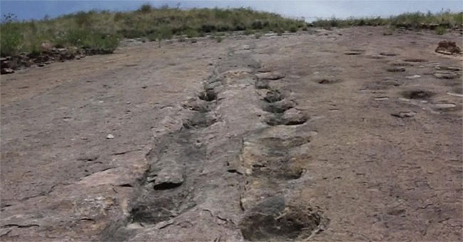 Vùng đất lưu giữ hàng nghìn dấu chân khủng long 80 triệu năm