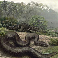 Quái vật rắn khổng lồ Titanoboa vẫn còn sống ở rừng Amazon? Quái vật rắn khổng lồ Titanoboa vẫn còn sống ở rừng Amazon?